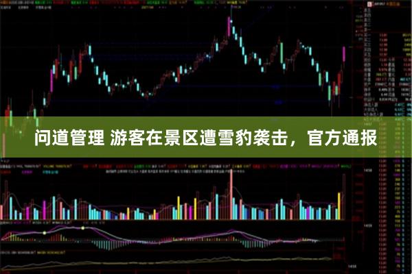 问道管理 游客在景区遭雪豹袭击，官方通报
