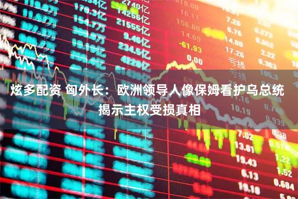 炫多配资 匈外长：欧洲领导人像保姆看护乌总统 揭示主权受损真相