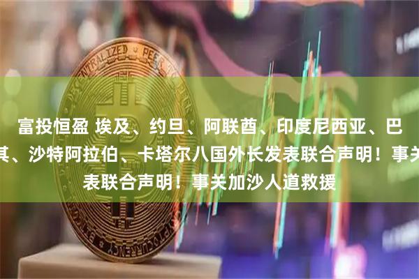 富投恒盈 埃及、约旦、阿联酋、印度尼西亚、巴基斯坦、土耳其、沙特阿拉伯、卡塔尔八国外长发表联合声明！事关加沙人道救援