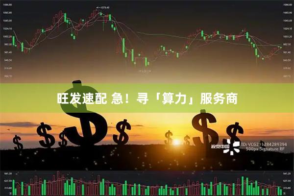 旺发速配 急！寻「算力」服务商