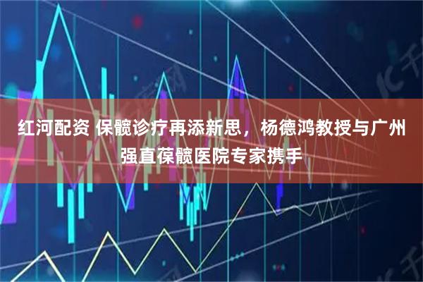 红河配资 保髋诊疗再添新思，杨德鸿教授与广州强直葆髋医院专家携手