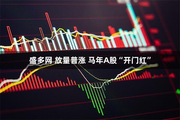 盛多网 放量普涨 马年A股“开门红”