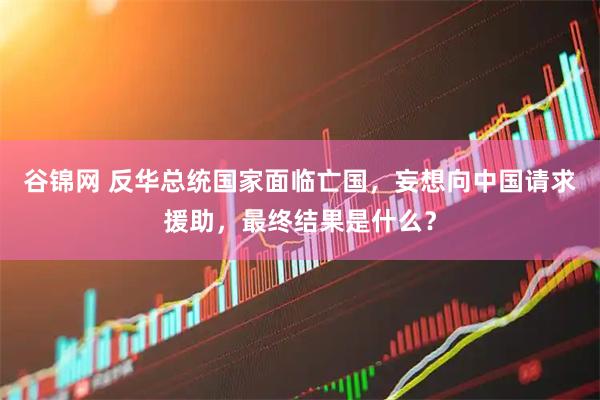 谷锦网 反华总统国家面临亡国，妄想向中国请求援助，最终结果是什么？