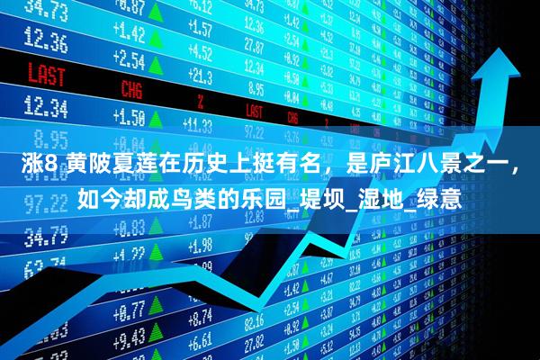 涨8 黄陂夏莲在历史上挺有名，是庐江八景之一，如今却成鸟类的乐园_堤坝_湿地_绿意